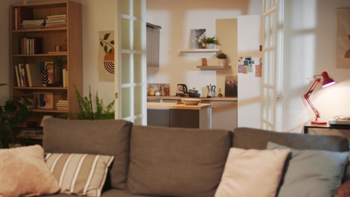 舒适的公寓，大沙发和植物在客厅和舒适的厨房