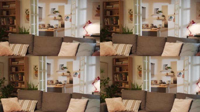 舒适的公寓，大沙发和植物在客厅和舒适的厨房
