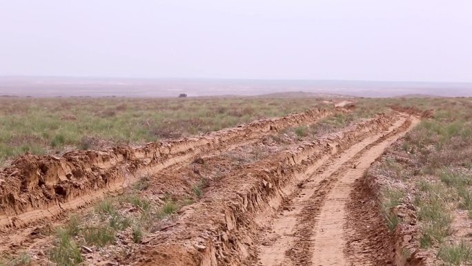 骏马奔腾 草原土地 自然生态