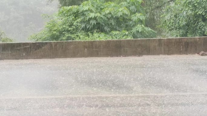 公路暴雨 倾盆大雨 滂沱大雨乡村公路雨景