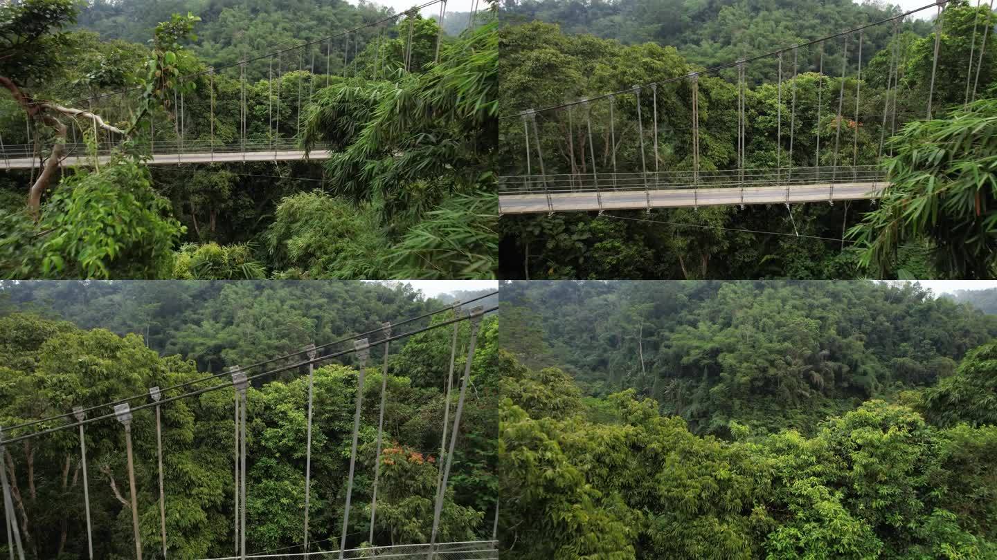 小吊桥的侧视图，摄像机飞过。周围是茂密的灌木丛