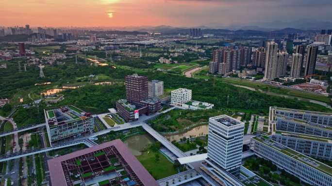 【正版素材】深圳技术大学航拍0340