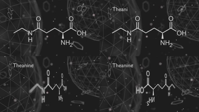 茶氨酸草药分子。由茶树制成的茶的成分。也可作为营养补充品。骨骼的公式。