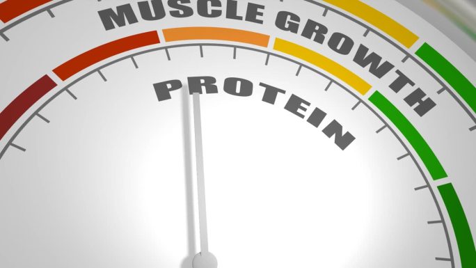 摘要测量装置。蛋白质对肌肉形成的影响。因果关系的尺度。