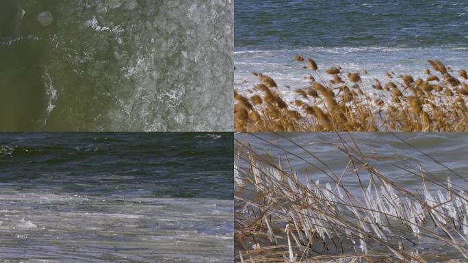 湖面浮冰 水面浮冰 芦苇 冰凌