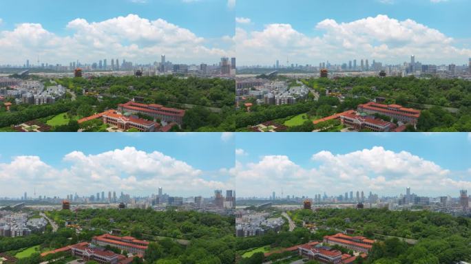 武汉城市地标天际线风光