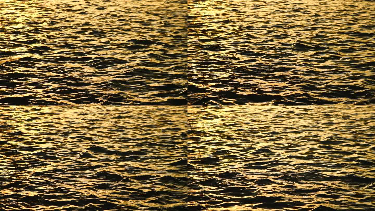 波光粼粼的湖面上水波纹4K实拍