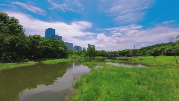 夏日蓝天