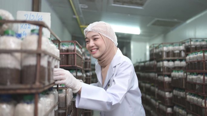 年轻的亚洲穆斯林女科学家在蘑菇工厂做研究，调查蘑菇块中真菌的生长情况。在无菌和温控的房间里