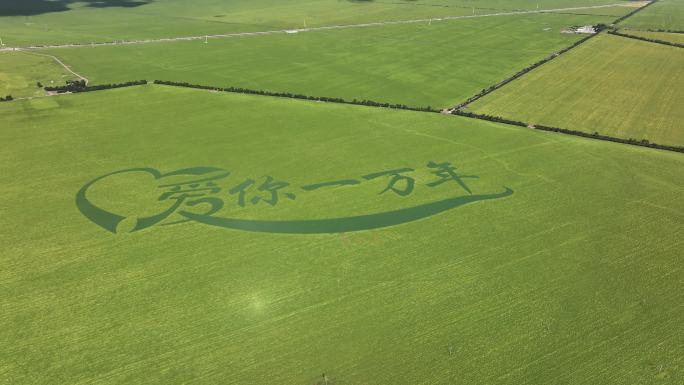 青海门源田园风光