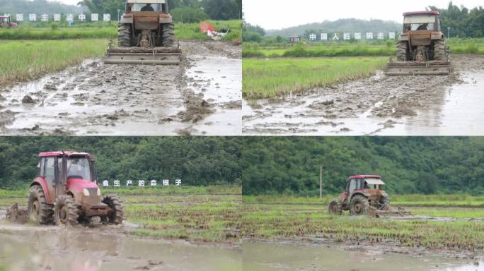 农业机械化水稻田农忙耕田