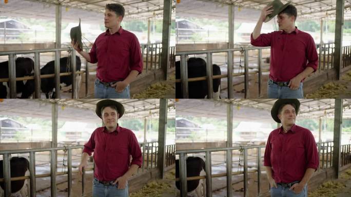 一位奶牛场老板在戴上帽子之前先用扇子给自己降温，然后开心地环顾四周看着他的奶牛
