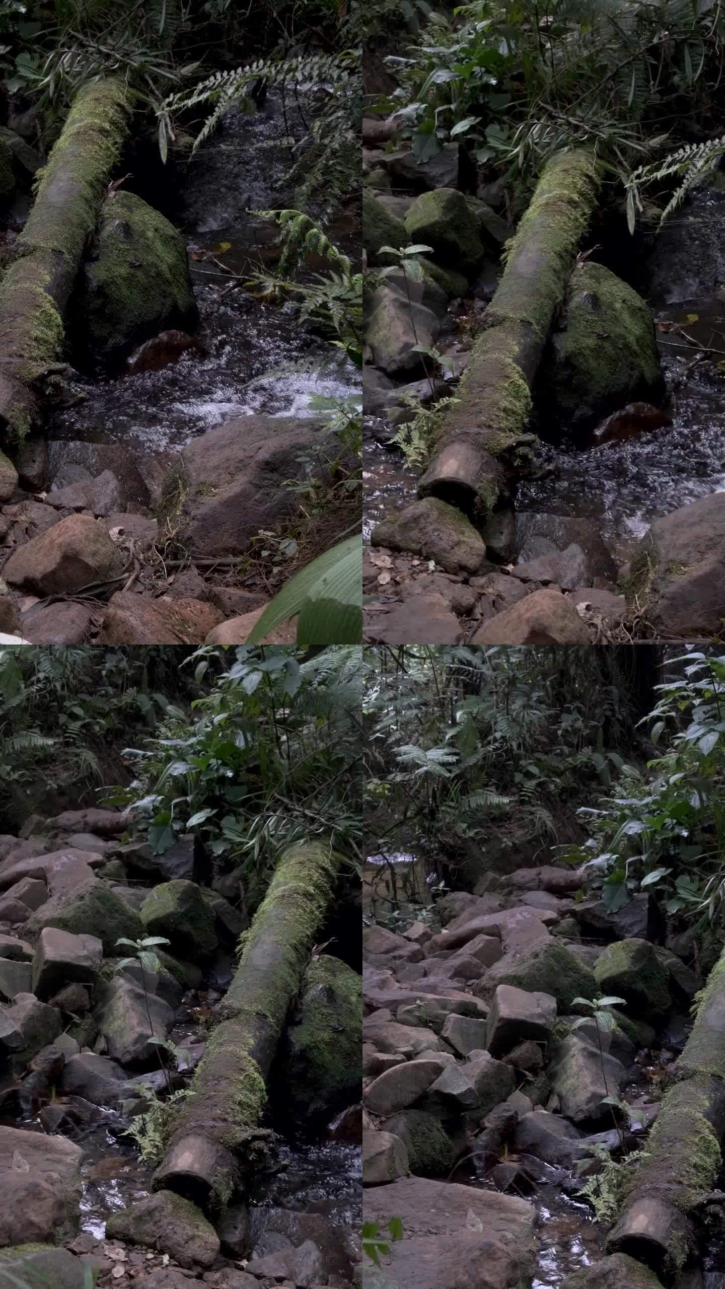 4k视频，清澈的自然河流很好看
