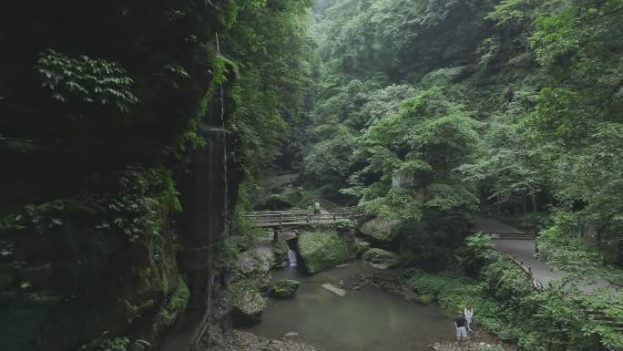 原创航拍原始森林碧峰峡