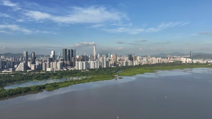 深圳福田区红树林航拍