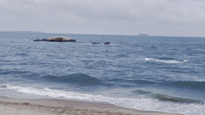 阴天海边海浪实拍空镜素材