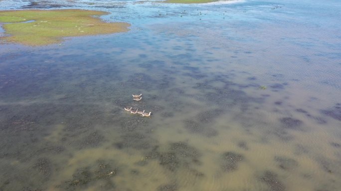 内蒙古土地复垦草原湖泊