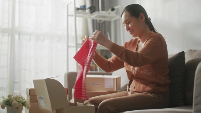 女人在网上商店买衣服