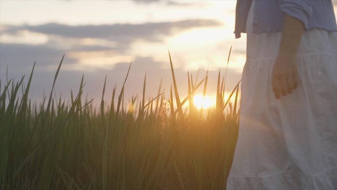 唯美女生田间行走小清新夕阳逆光人物浪漫