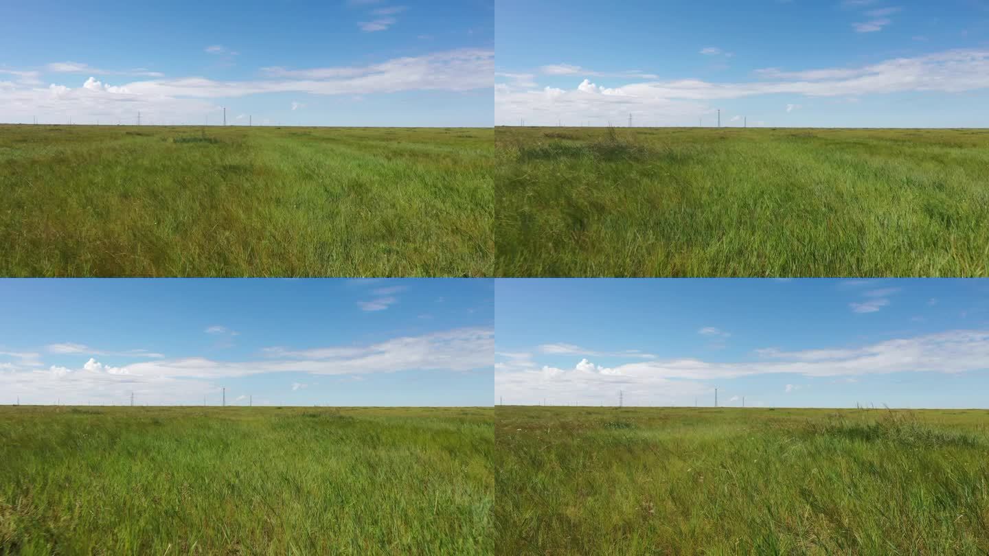 内蒙古土地复垦草原
