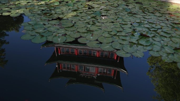 水中楼宇 古建筑 东方意境 万古楼