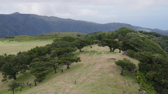 绿色的山峰被草原环绕