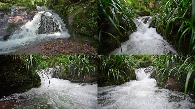 唯美溪流小溪流水原始生态清澈山泉视频素材