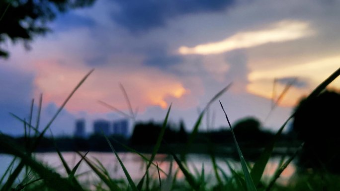 天空落日傍晚彩霞夕阳西下湖水野草小草22