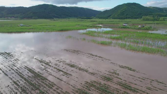 4k航拍雨后被淹的农田