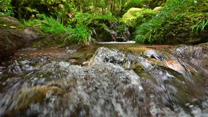 唯美溪流小溪流水原始生态清澈山泉视频素材