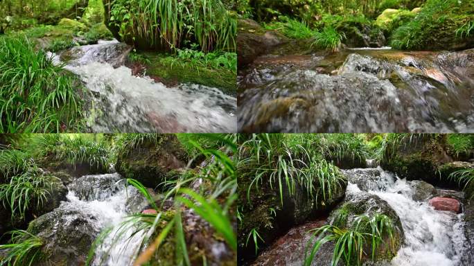 唯美溪流小溪流水原始生态清澈山泉视频素材