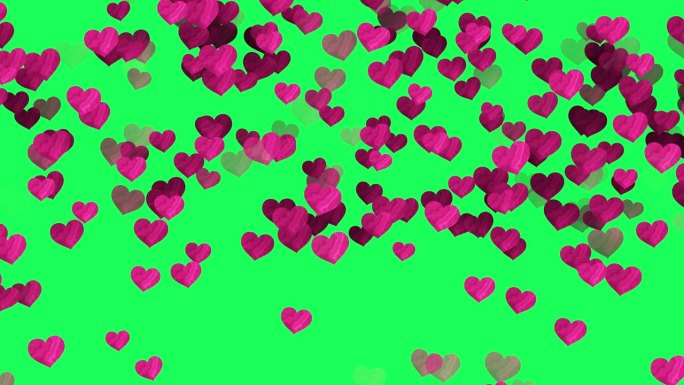 水彩心落在绿色屏幕背景，浪漫的红心落动画背景，心形飞越白色Bg，心脏图标在空中移动，情人节，结婚日R