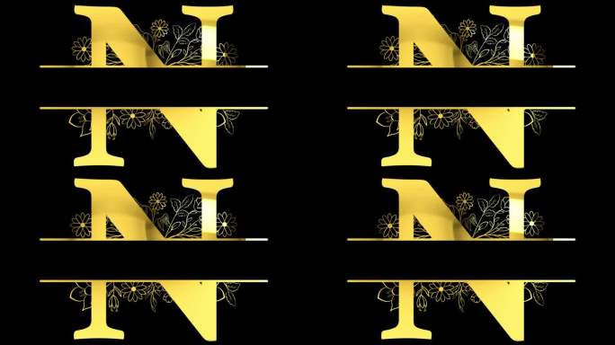 金字母N花卉交织图案动画，与ALPHA通道(透明背景)4K分辨率