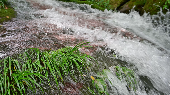 唯美溪流小溪流水原始生态清澈山泉视频素材