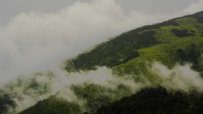 神农架高山云雾运动延时4K