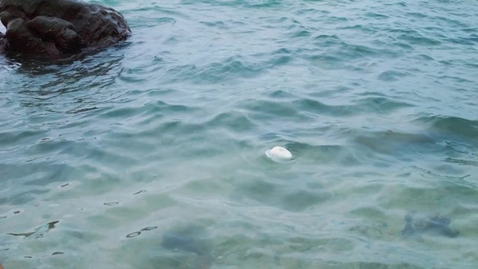 扔进海里的塑料板在波浪中漂浮。海洋污染问题需要更多的关注和更多的志愿者。环境需要有爱心的人，志愿者清