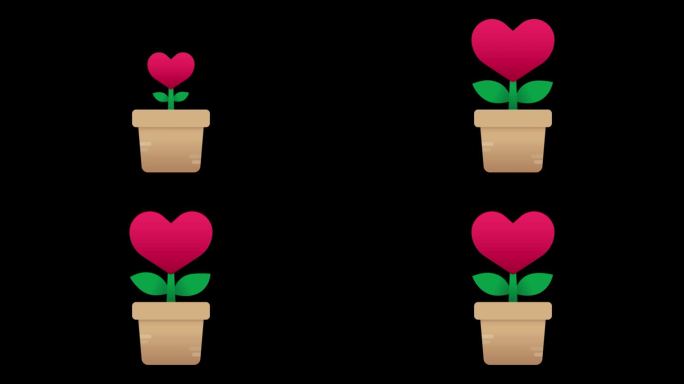 心树在花盆里生长的动画图标，动画情人节相关，alpha通道包括在内。