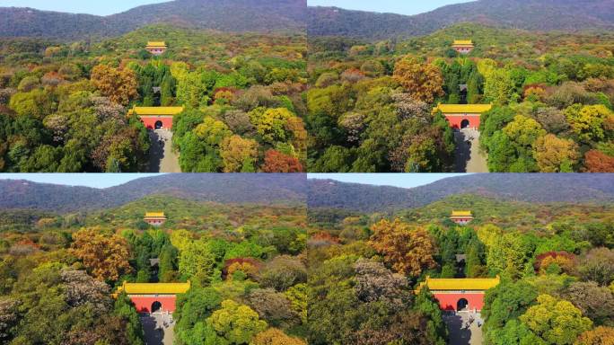 【4K】南京城市航拍明孝陵