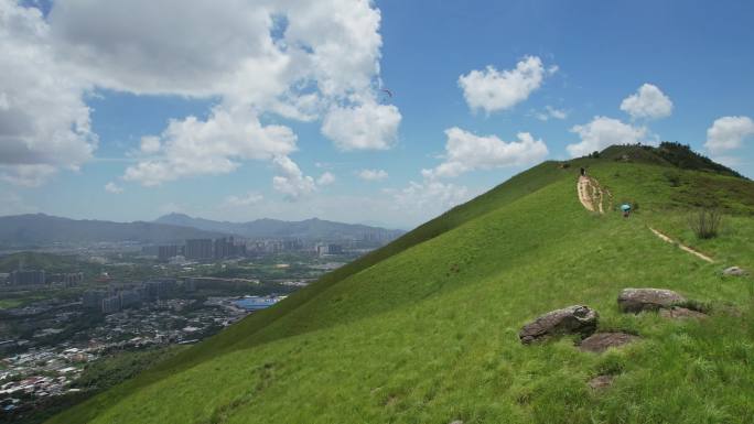 高山草甸