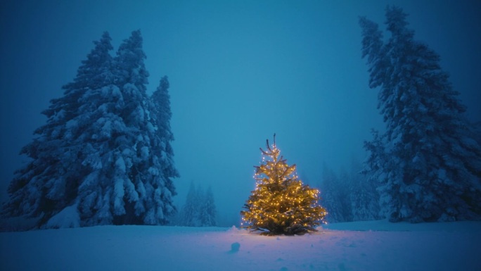 白雪覆盖的林间空地上，孤零零的冷杉树装饰着圣诞彩灯