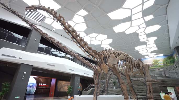 恐龙化石自然资源科普馆