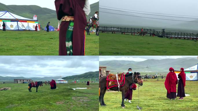 藏族题材 藏族素材 马背上的民族