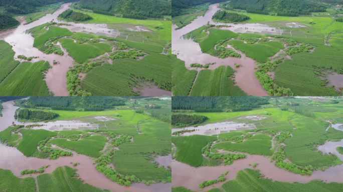 4k航拍雨后被淹的农田