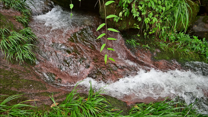唯美溪流小溪流水原始生态清澈山泉视频素材