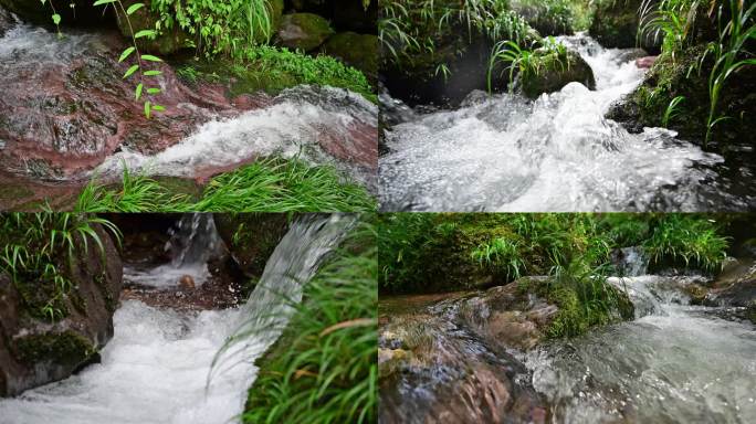 唯美溪流小溪流水原始生态清澈山泉视频素材