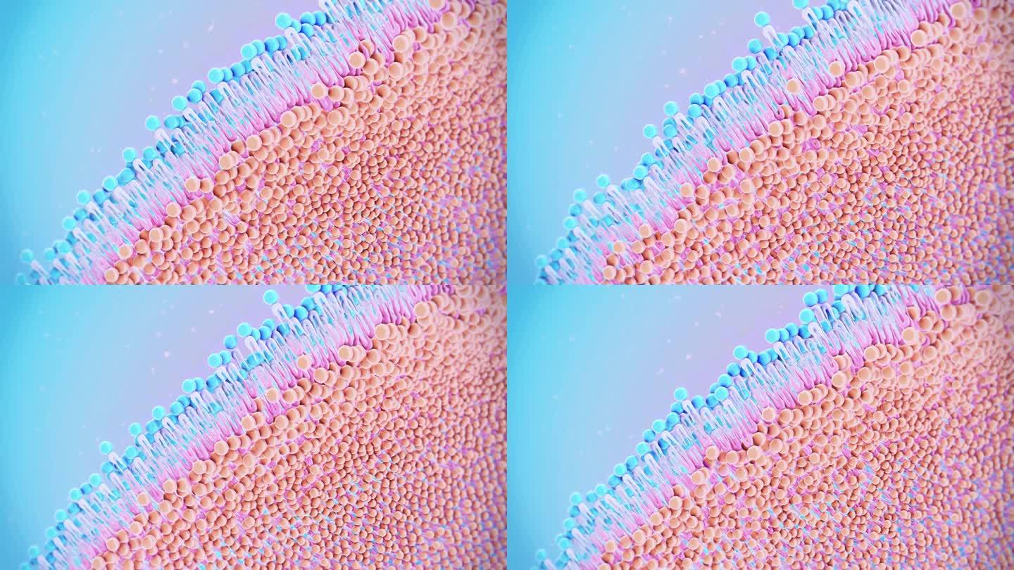 细胞膜。胶原蛋白三维动画美肤护肤医美
