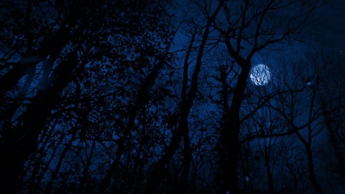 月光下可怕的森林里的雪和闪电