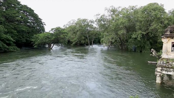 在印度卡纳塔克邦，季风期间，风景如画的树木和漫溢的河水庄严地映入眼帘。