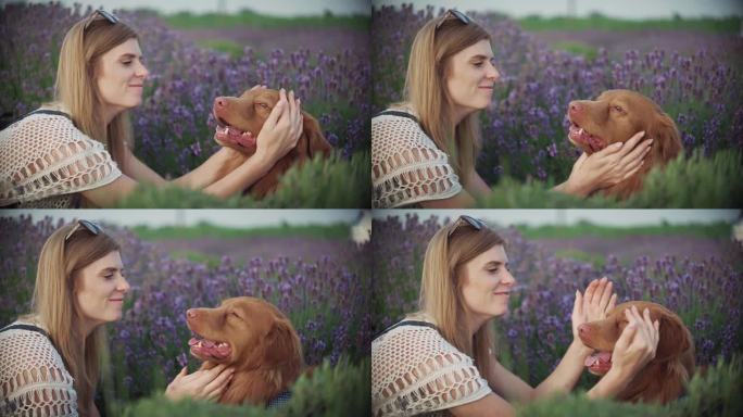 一个女孩在薰衣草地里抚摸着她的狗。