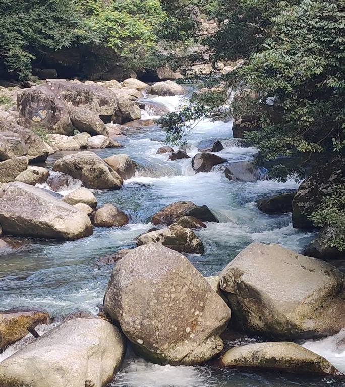 4K 超清山间泉水